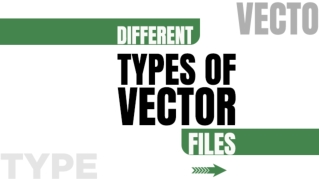 Types Of Vector File Formats