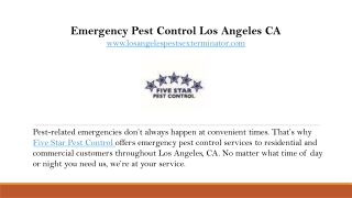 Emergency Pest Control Los Angeles CA