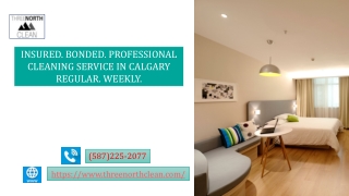 Carpet cleaning in Calgary by professional cleaners