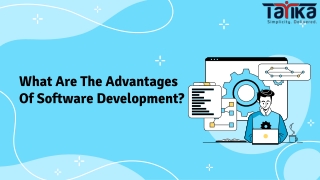 What Are The Advantages Of Software Development?