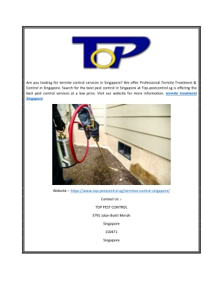 Termite Treatment Singapore | Top-pestcontrol.sg