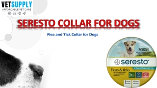 Seresto Flea and Tick Treatment for Dogs| VetSupply