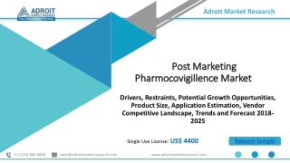 Post-marketing Pharmocovigillence Market 2019 Size & Forecast 2025