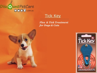Buy Tick Key For Dogs & Cats Online - DiscountPetCare
