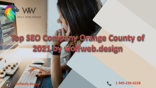 Top SEO Company Orange County by wolfweb.design