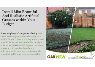 Install Mist Beautiful And Realistic Artificial Grasses