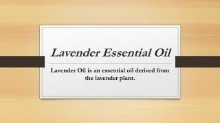 Lavender Essential Oil Uses & Benefits