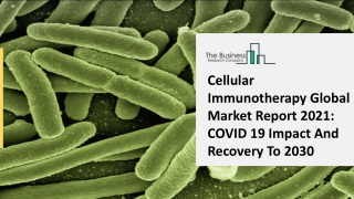 Cellular Immunotherapy Market Share, Growth, Trends Analysis Report 2025