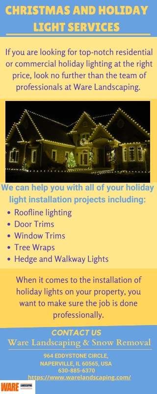 CHRISTMAS AND HOLIDAY LIGHT SERVICES