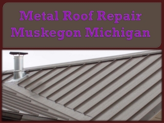 Metal Roof Repair Muskegon Michigan