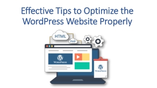 Effective Tips to Optimize the WordPress Website Properly