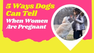 5 Ways Dogs Can Tell When Women Are Pregnant 2021