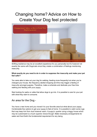 Changing home_ Advice on How to Create Your Dog feel protected