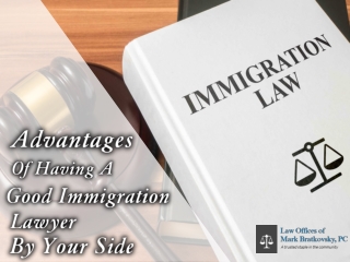 Advantages Of Having A Good Immigration Lawyer By Your Side