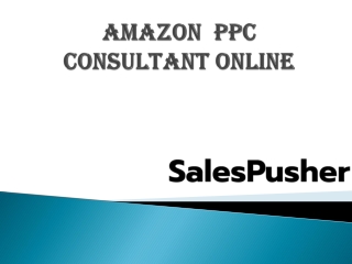 Amazon  PPC Consultant Online