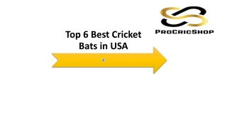 Top 6 Best Cricket Bats in USA