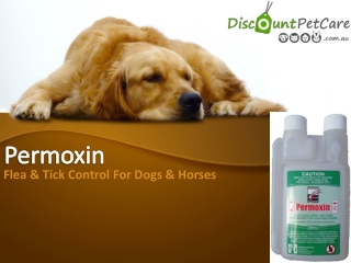 Buy Permoxin Insecticidal Spray and Rinse For Dogs & Horses Online