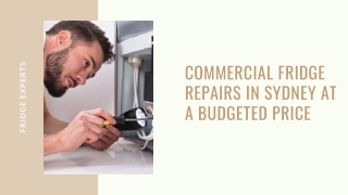 Commercial Fridge Repairs in Sydney at a Budgeted Price