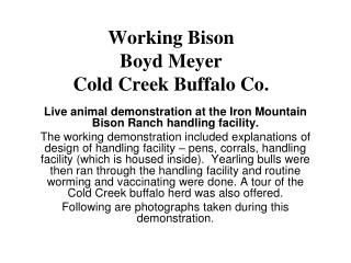 Working Bison Boyd Meyer Cold Creek Buffalo Co.