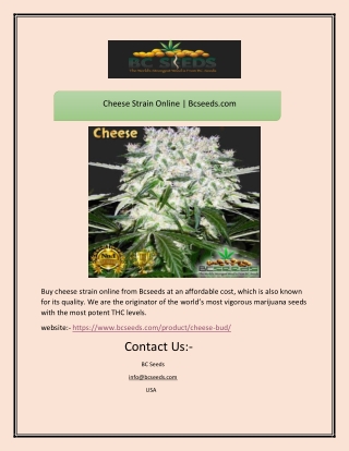 Cheese Strain Online | Bcseeds.com
