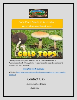 Coca Plant Seeds in Australia | Australianseedbank.com