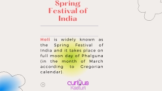 Spring Festival of India
