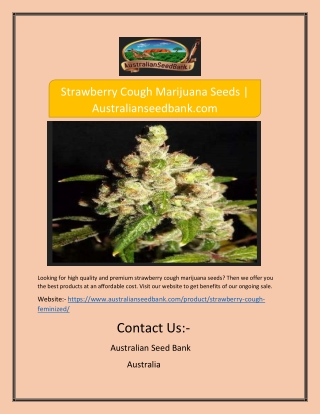 Strawberry Cough Marijuana Seeds | Australianseedbank.com