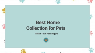 Best Home   Collection for Pets