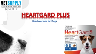 Heartgard Plus for Dogs - Best Heartwormer for Pets | VetSupply
