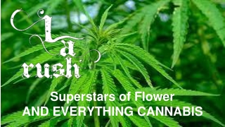 Cannabis Delivery Hidden Hills - LA Rush