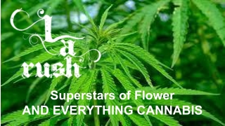 Cannabis Delivery Hidden Hills - LA Rush