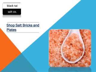 Himalayan Salt Bricks and Plates