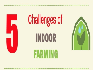 5 Challenges of indoor farming