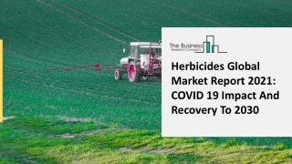 Herbicides Market Size, Growth, Demand, Opportunities Forecast To 2025