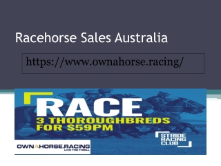 Racehorse Sales Australia