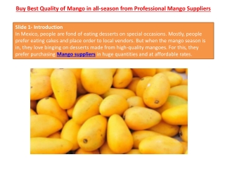 Buy Best Quality of Mango in all-season from Professional Mango Suppliers