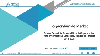 Polyacrylamide Market Size, Price , Industry Outlook Report 2025