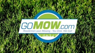 Buy Cheap Lawn Care and Lawn Mowing Service in San Antonio.