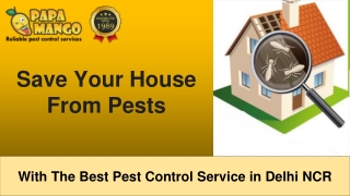 Save Your House From Pests