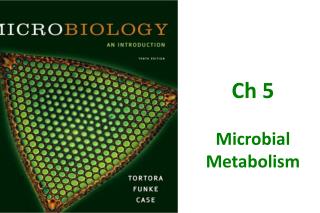 Ch 5 Microbial Metabolism