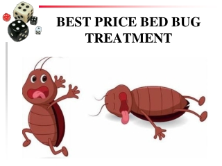 Why chemical free bed bug treatment is better than ready-made sprays