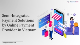 Semi-Integrated Payment Solutions by Online Payment Provider in Vietnam