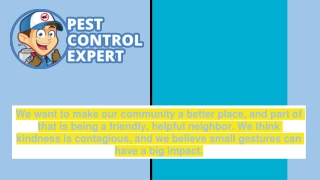 Pest Control Company -  Pest Control Expert