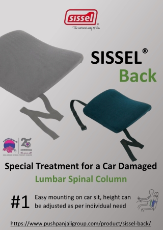 SISSEL Back | car Support Cushion | Pushpanjali medi India Pvt Ltd