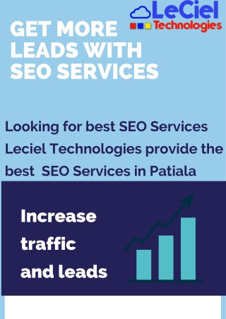 Get More Leads With SEO Services Panipat