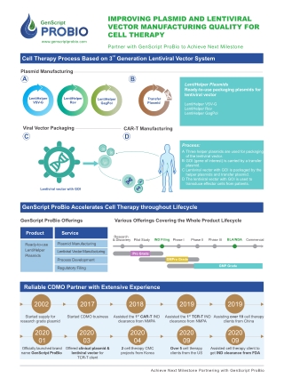 High-quality Gene Therapy Plasmid Production