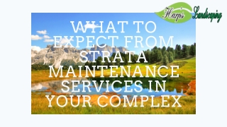 What to Expect from Strata Maintenance Services in Your Complex