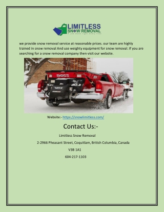 snow company | snowlimitless.com