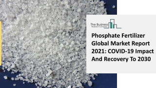 Phosphate Fertilizer Market Growth Possibilities, Trend, Outlook And Future Challenges