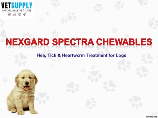 Dogs Nexgard Buy Nexgard Spectra Flea, Tick and Heartworm Preventive for Dogs -